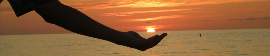 Beautiful Photograph
